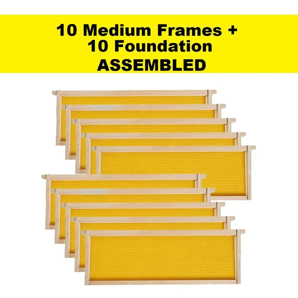 Beekeeping Equipment 10 Medium Frames + 10 Foundation ASSEMBLED For Super Boxes